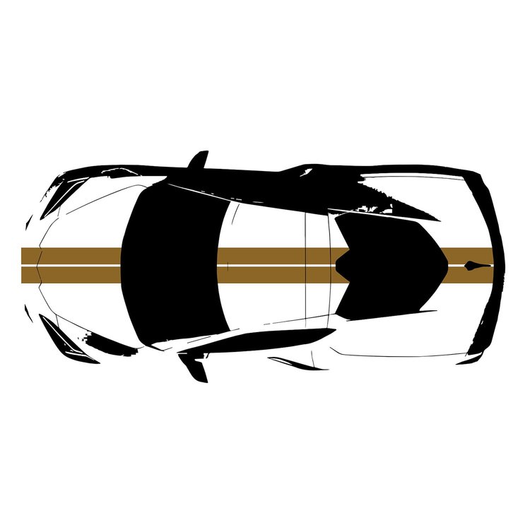200411 Front to Back Dual Stripes, 2020-2023 Chevy Corvette, Matte Gold