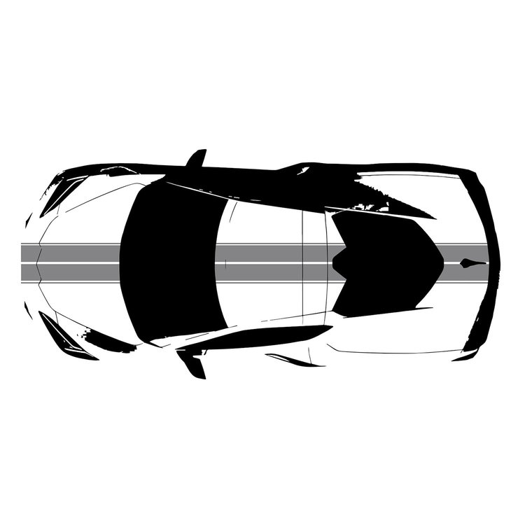200422 Front to Back Dual Stripes, 2020-2023 Chevy Corvette, Matte Gray W/Matte Gray Pinstripes