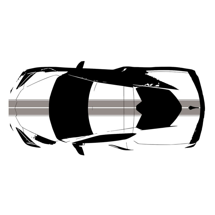 200427 Front to Back Dual Stripes, 2020-2023 Chevy Corvette, Gloss Silver Gloss W/Silver Pinstripes