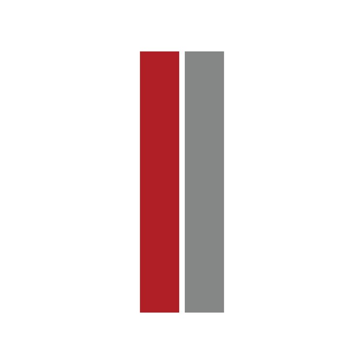 202565 ZR1 Wing Dual Stripe Decal, 2014-2019 Chevy Corvette, Matte Red Matte Gray