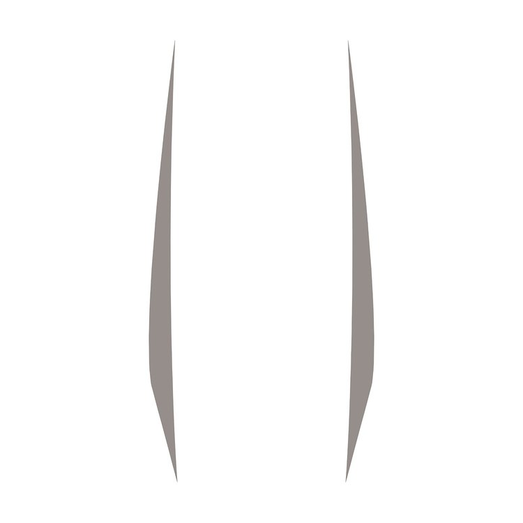 202611 Hood Stripes Decal, 2020-2023 Chevy Corvette, Pair Gloss Silver No Cutout, Solid Stripes