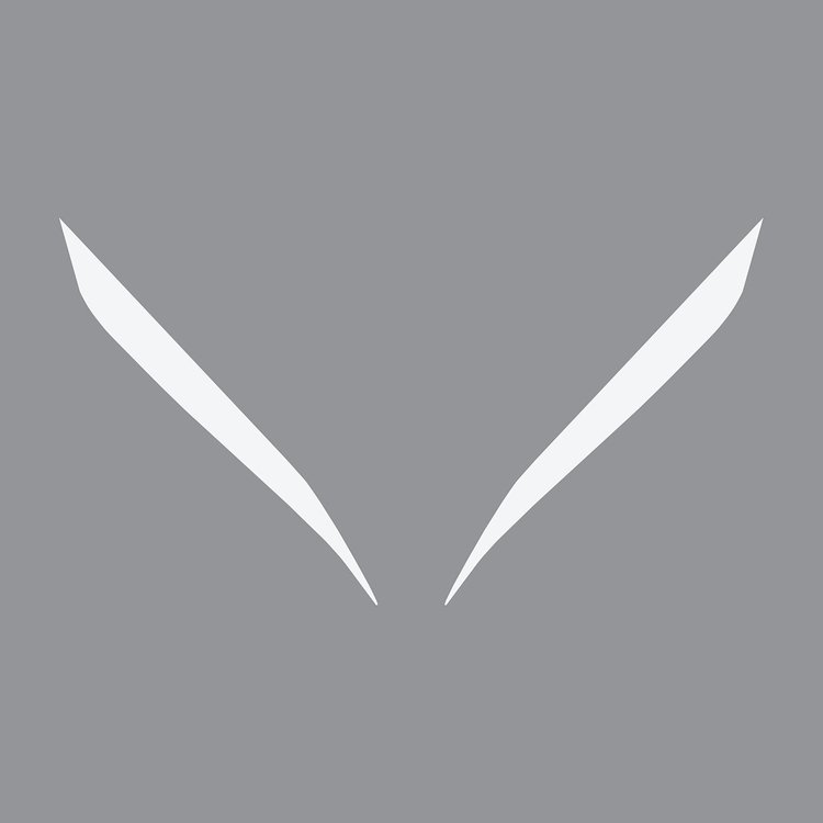202731 Headlight Eyelid Decals, 2020-2023 Chevy Corvette, Pair Matte White