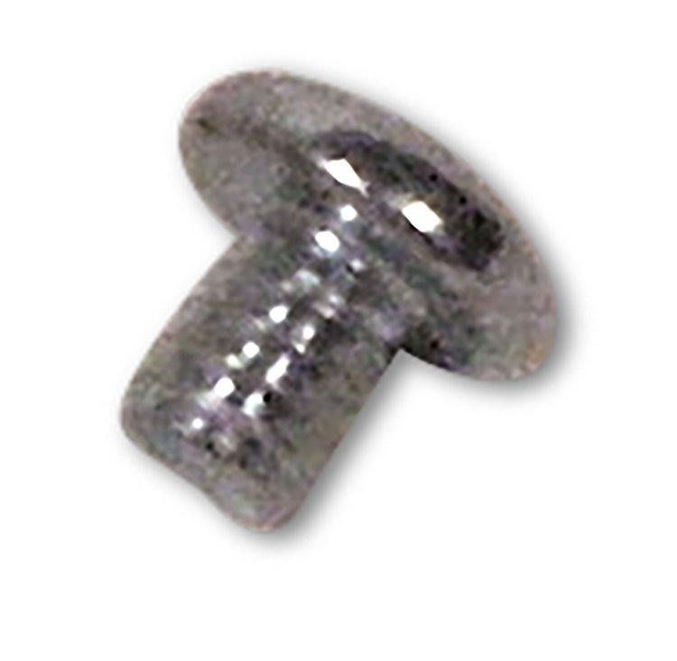 33169 Choke Spring Mount Screw, 1966-1970 Chevy Corvette