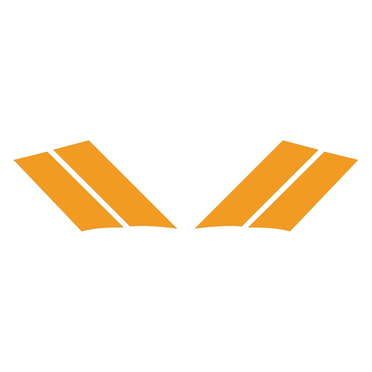 77800 G.S. Fender Stripes, 1984-1996 Chevy Corvette, Gloss Orange Both