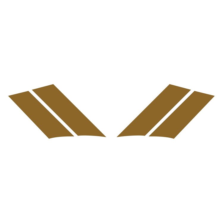 77814 G.S. Fender Stripes, 1984-1996 Chevy Corvette, Matte Metallic Gold Both
