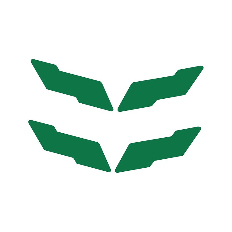 78076 Vinyl Overlay Crossed Flags Emblem, 1997-2004 Chevy Corvette, Front & Rear, Gloss Green