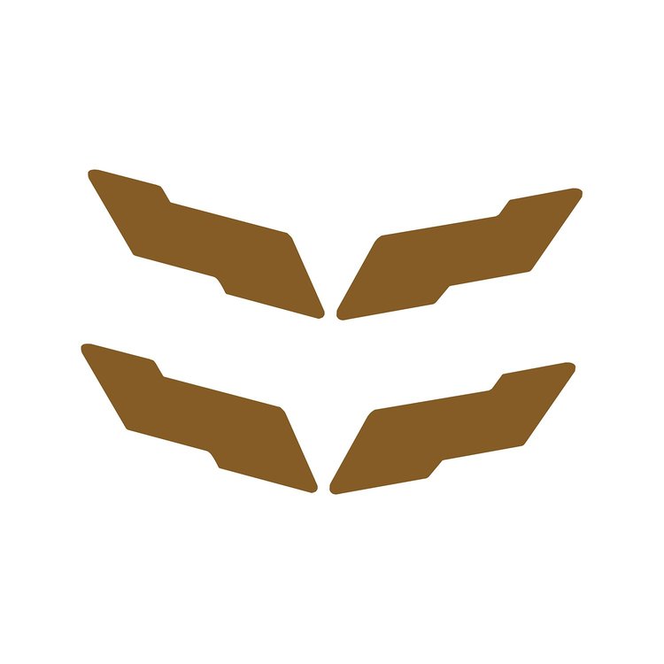 78080 Vinyl Overlay Crossed Flags Emblem, 1997-2004 Chevy Corvette, Front & Rear, Gloss Metallic Gold