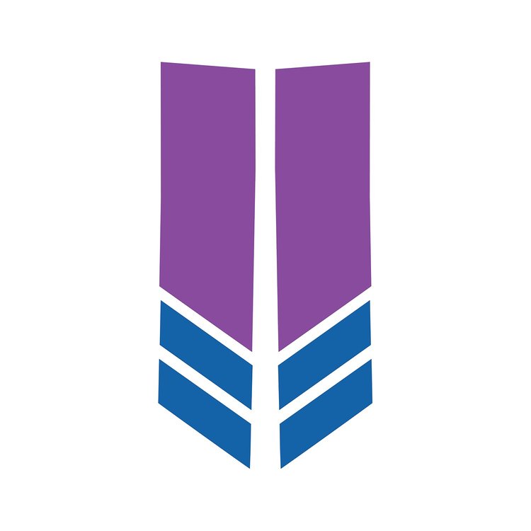78532 Stripe Winglets, 2014-2019 Chevy Corvette, Matte Purple Matte Blue