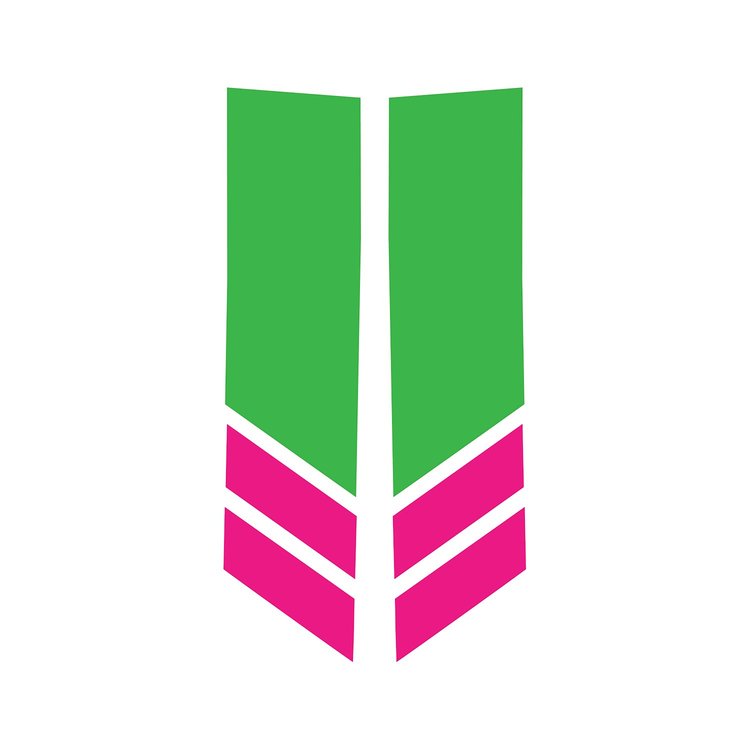 78541 Stripe Winglets, 2014-2019 Chevy Corvette, Matte Lime Green Gloss Pink