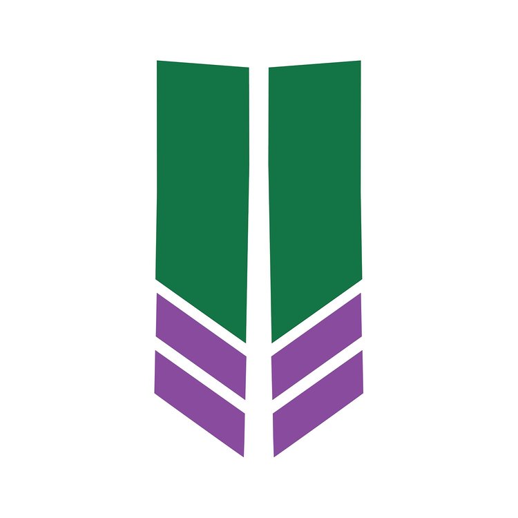 78549 Stripe Winglets, 2014-2019 Chevy Corvette, Gloss Green Matte Purple