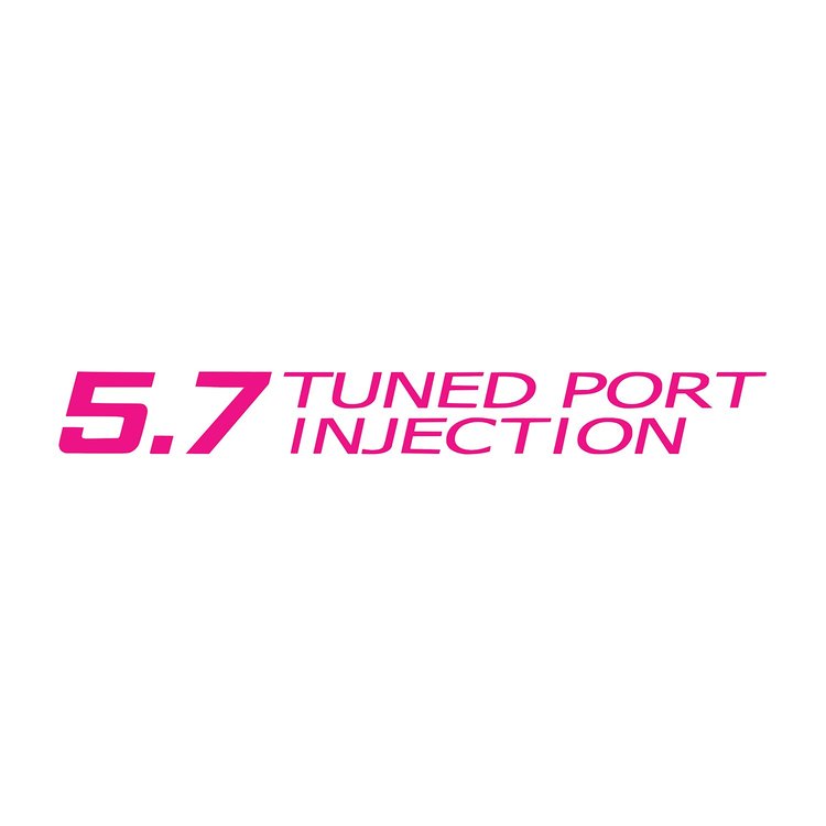 78702 Tuned Port Injection Decal, 1985-1991 Chevy Corvette, Gloss Pink
