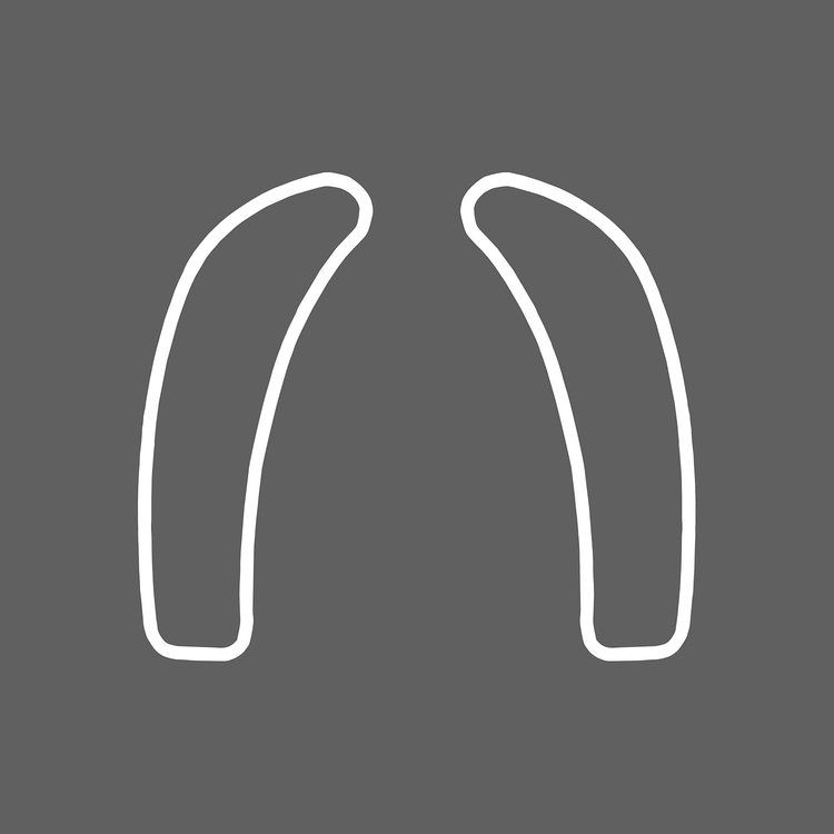 78805 Dash Cluster Switch Trim Overlay Decal, 2005-2013 Chevy Corvette, Pair Gloss White
