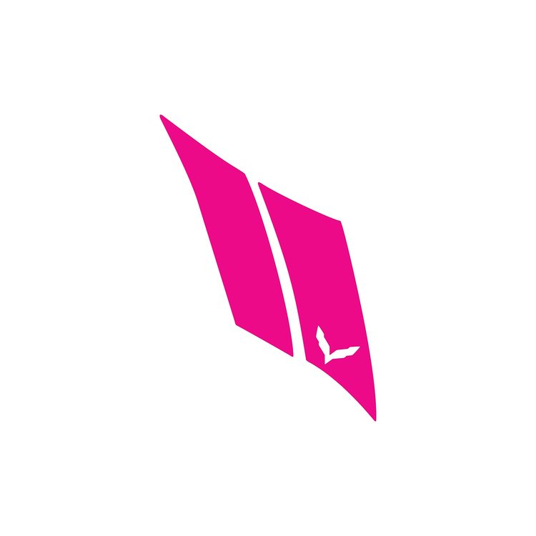 79384 G.S. Hash Marks W/ Cutout Driver Gloss Pink C7, 2014-2019 Chevy Corvette, Crossed Flags