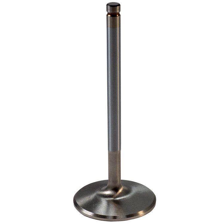 456230 High Performance Intake Valve Sold by Dimension