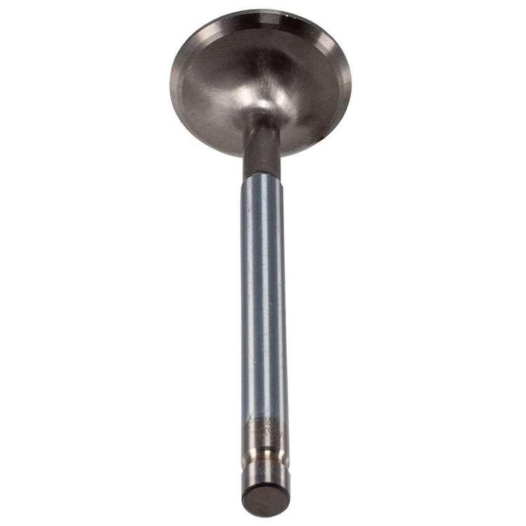 456309 Exhaust Valve Small Block Chevy