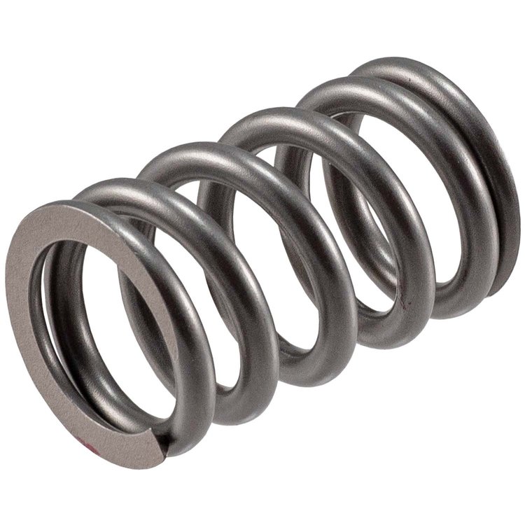 466484 Single Valve Spring [1.420 in. O.D.]