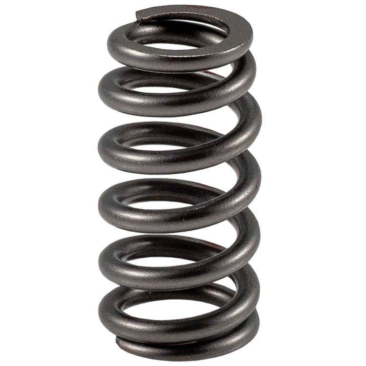466664 High Performance Valve Spring 3.5L Ford DOHC