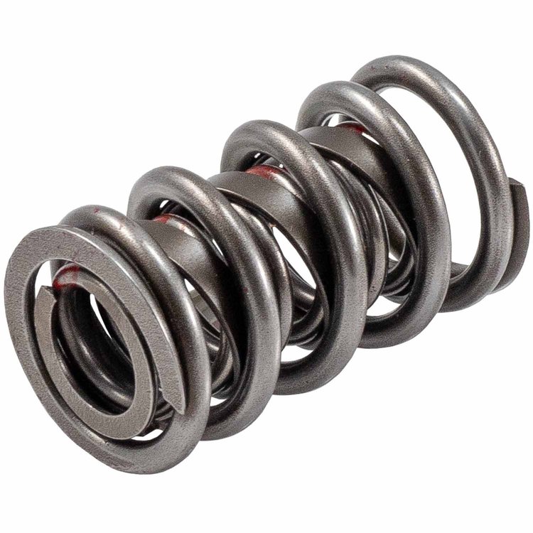 466904 Dual Valve Spring w/Damper [1.510 in. O.D.]
