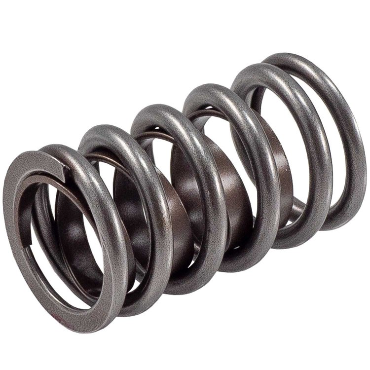 466934 Single Valve Spring w/Damper [1.550 in. O.D.]
