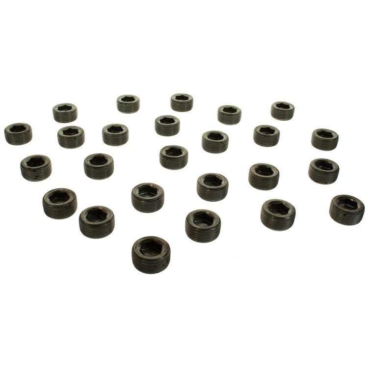 PIPE PLUG - 25 PER BOX