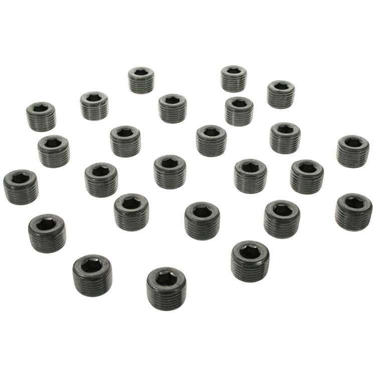 PIPE PLUG - 25 PER BOX