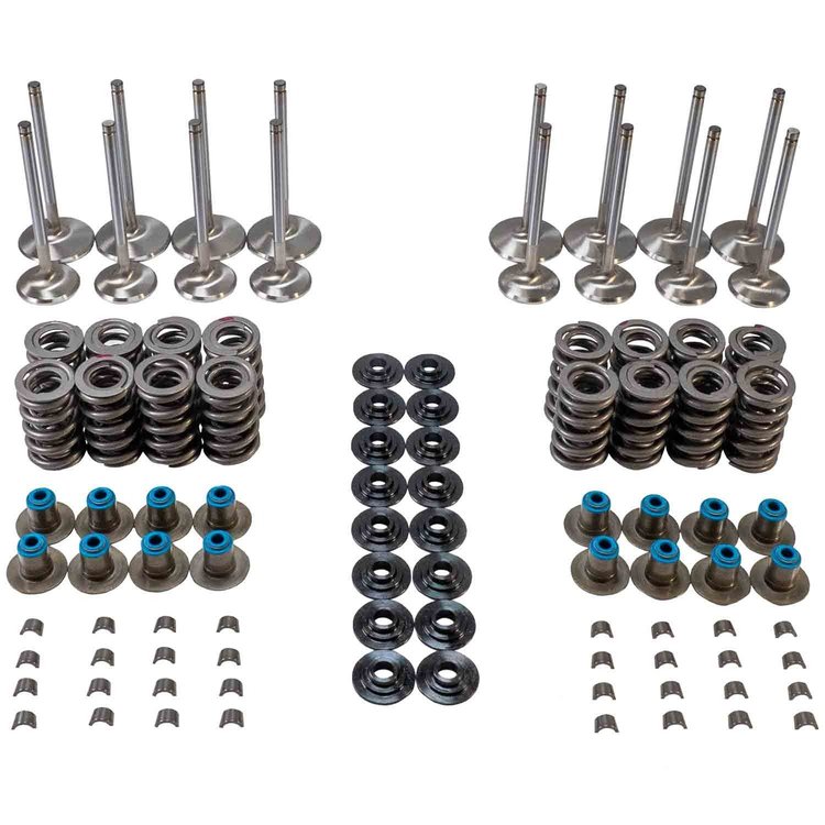 MVK104 Valve & Spring Kit for GM LS Engines