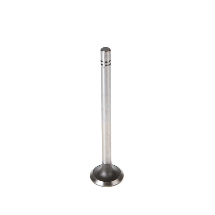 V0159 Stock Replacement Exhaust Valve