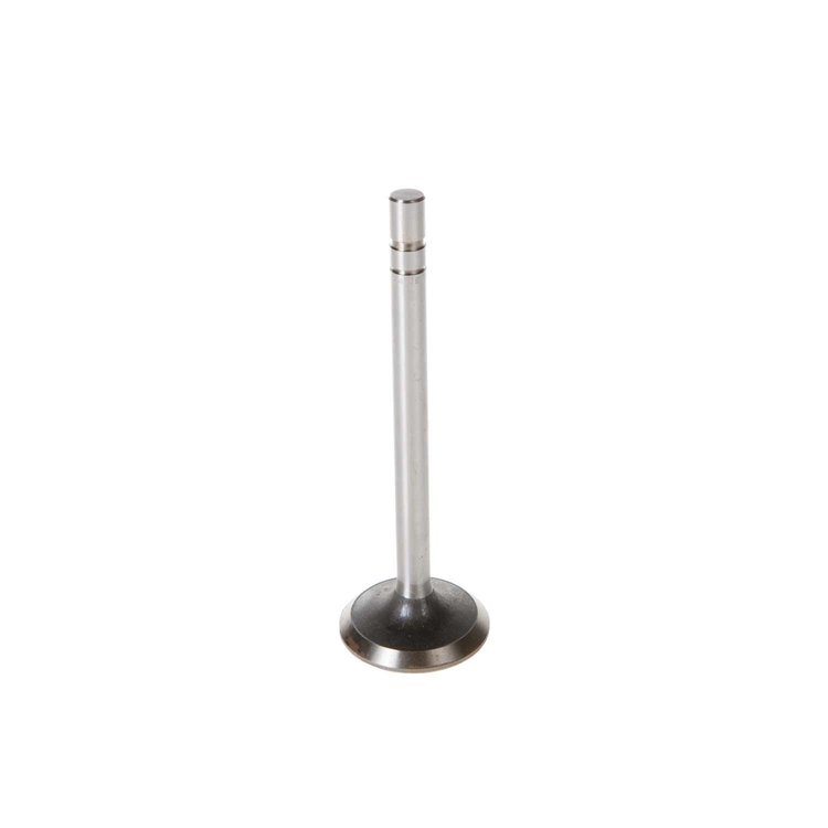V0169 Stock Replacement Intake Valve