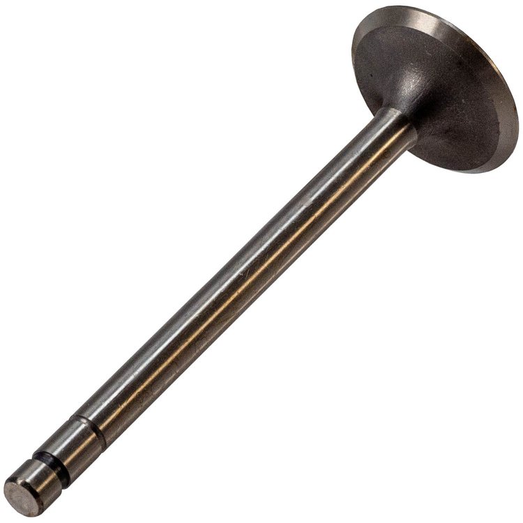 V0192 Stock Replacement Intake Valve