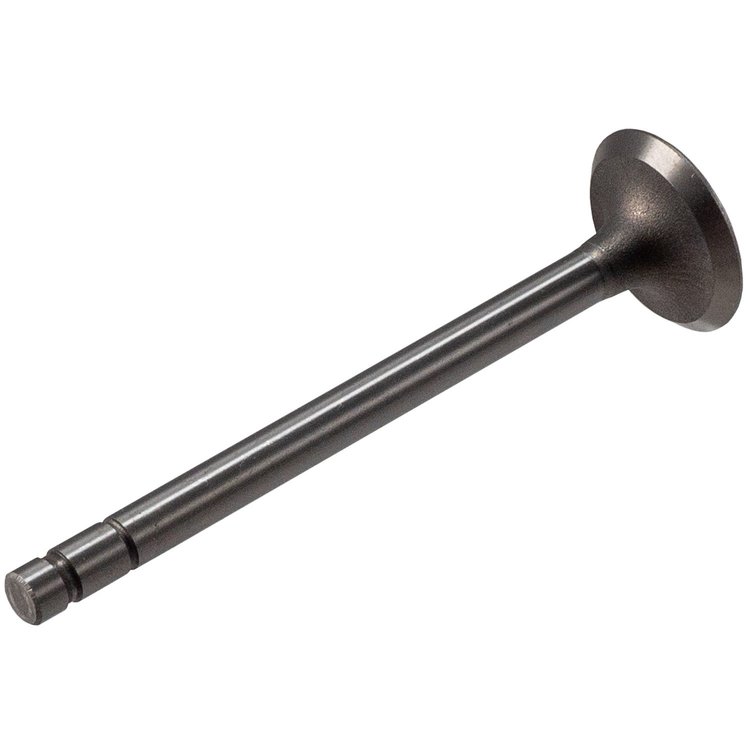 V0313 Stock Replacement Intake Valve