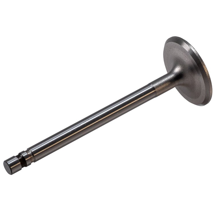 V0399 Intake Valve
