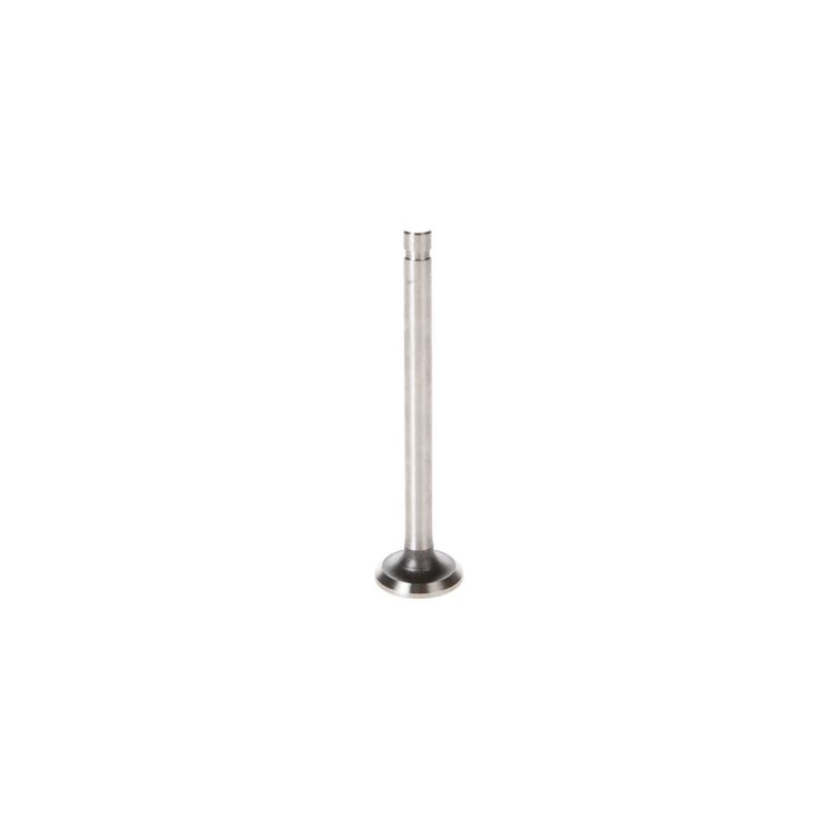V0489 Stock Replacement Exhaust Valve