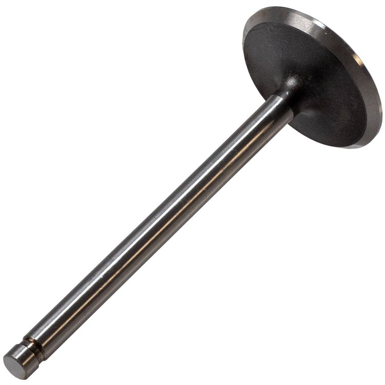 V0494 Stock Replacement Intake Valve