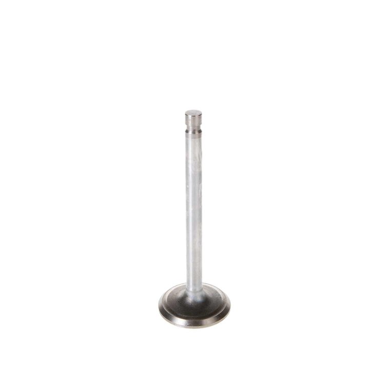 V0531 Stock Replacement Intake Valve