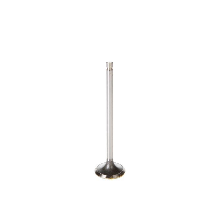 V0609 Stock Replacement Intake Valve