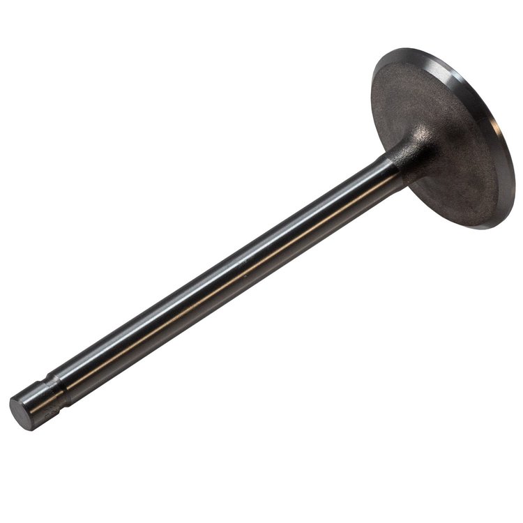 V0637 Intake Valve