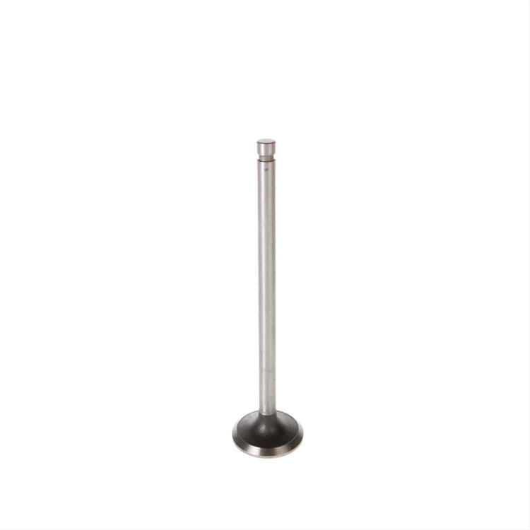 VALVE-INTAKE