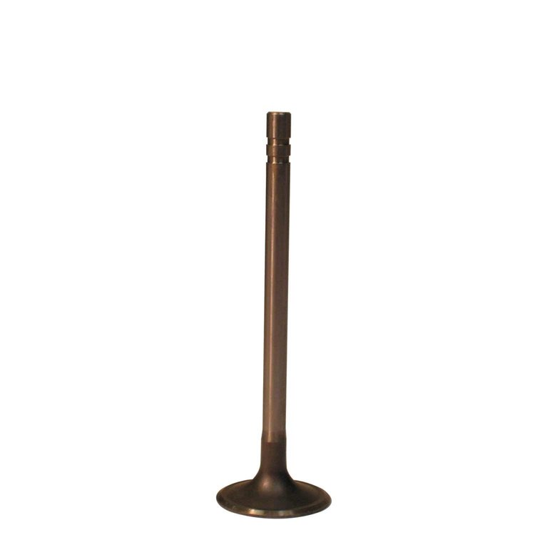 V0696+15 Stock Replacement Intake Valve