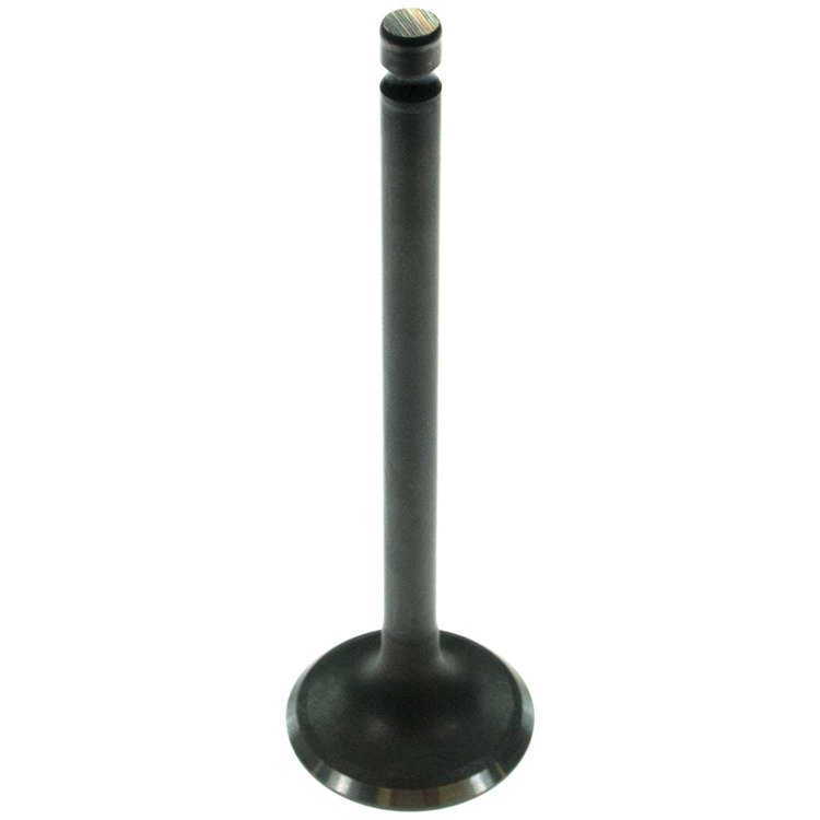 V0812 Stock Replacement Intake Valve Hyundai Accent 1997-1996