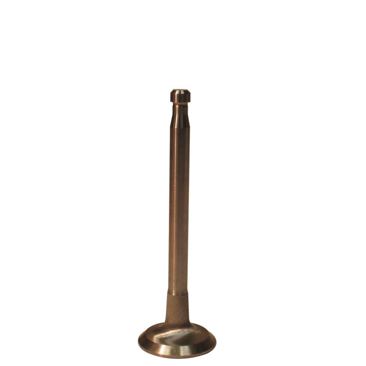 V0824 Stock Replacement Exhaust Valve