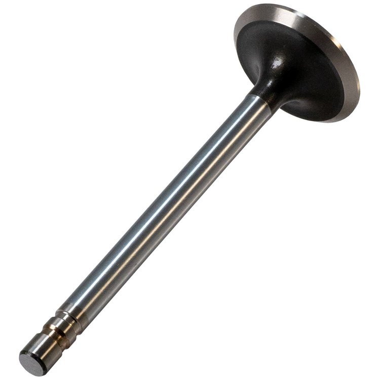 V0919 Exhaust Valve for Select 1964-1981 GM Models with 4.9L, 5.3L, 5.7L Engines