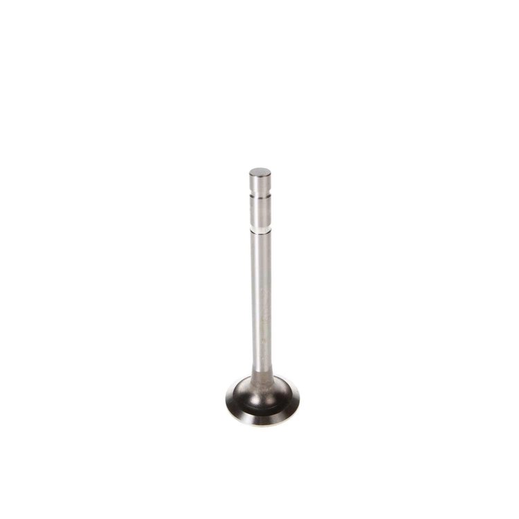 V1075 Stock Replacement Exhaust Valve