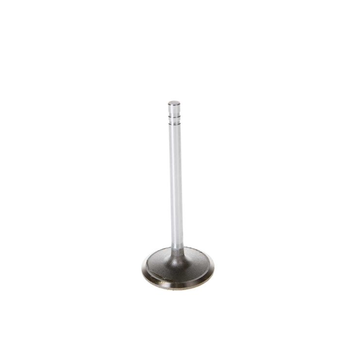 V1077 Stock Replacement Intake Valve