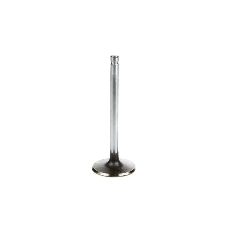 V1107+3 Stock Replacement Intake Valve