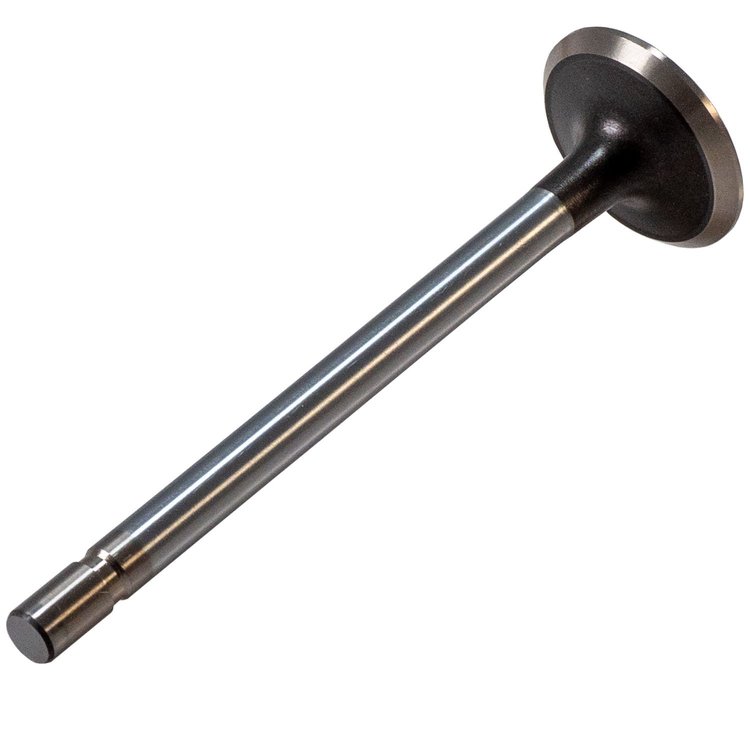 V1135 Exhaust Valve