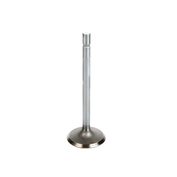 V1137+3 Stock Replacement Intake Valve