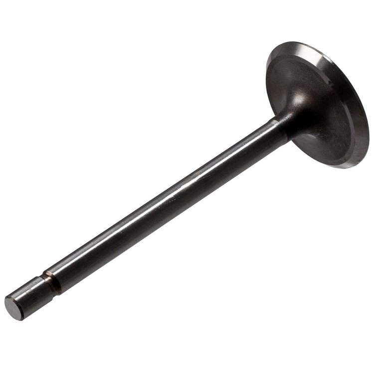 V1137 Stock Replacement Intake Valve