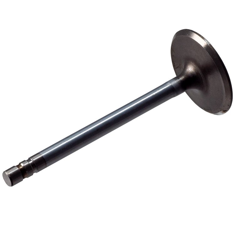 Intake Valve