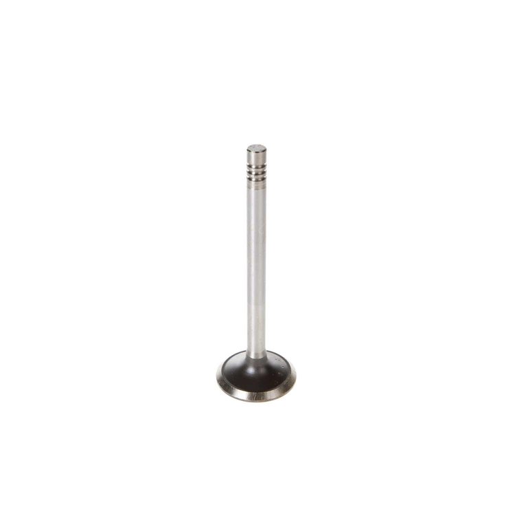 V1199 Stock Replacement Exhaust Valve