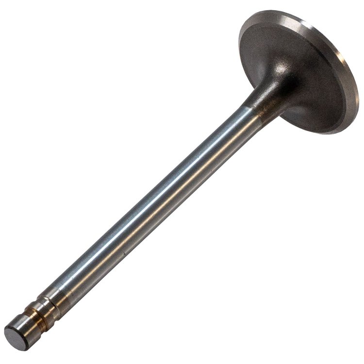 V1245 Stock Replacement Exhaust Valve